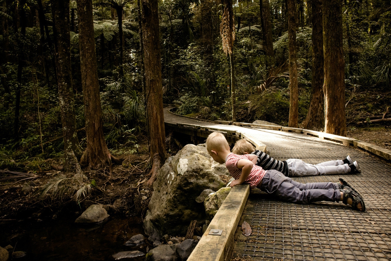 Kids on forest walk - HeightPM