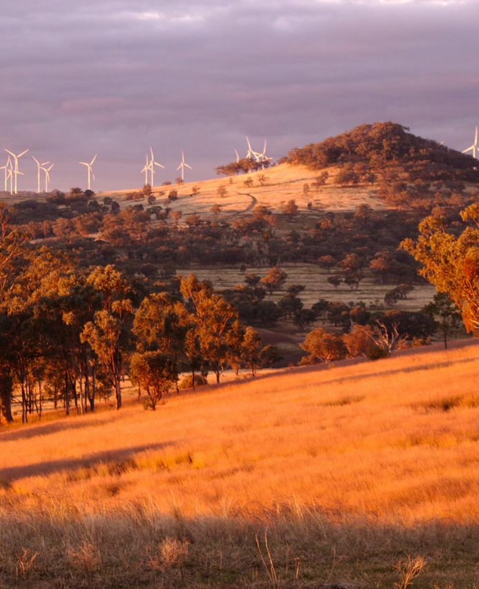 Wind mills | HeightPM