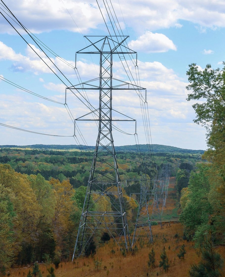 Powerlines forest | HeightPM